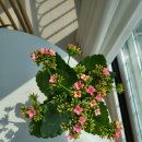 세한농원 이미지