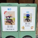 헬로 리틀 애니멀 | 에버랜드 평일 산리오 기간 각종 꿀팁 모음 (쿠로미팝콘통과 포토존은 덤)