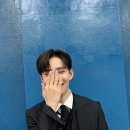 강아지의 하루 이미지