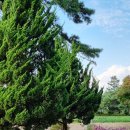 애견가을농장 이미지