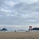 가보영농조합법인 해남지점 | 주간 일기