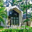 제주독채펜션 라리저브 감성펜션 | 제주 동쪽 숙소 추천 감성 독채펜션 애견동반 가능 라리저브 꼬스뗀뇨 카페