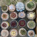 나의 창 이미지