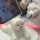 봉쥬르폼피 이미지