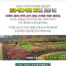 연원조경