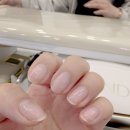 완월동178 이미지