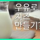 리코타치즈 만들기 우유로 치즈만들기 우유요리 이미지