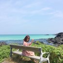 파블에이전시 - 서초구 신반포로 27-6 | 8월 제주도 가볼만한곳 서쪽 코스 공유해요 !