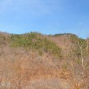 보성부동산공인중개사사무소 이미지