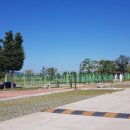 낙동강체육공원 인라인스케이트장+게이트볼장 이미지