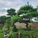 건달산로 이미지