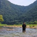 대산마을 이미지