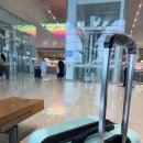 케이얼라이언스 | 여행 아시아나 OZ729 <> OZ734 기내식 기내면세 하노이 공항 ACV 라운지 후기. 하노이공항에서 만난 아이돌