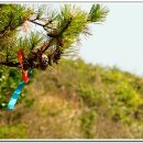 온정목장 이미지