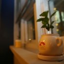 탐나마트아라점