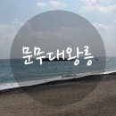 문무 | 경주 필수 코스 | 문무대왕릉 (해돋이명소) 후기