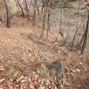 화담당 경화탑 이미지