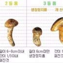 송이유통 이미지