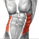 바디엔지니어 이미지