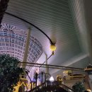 혜성약국 | 2026 롯데월드 꿀팁 총정리! 아트란티스 싱글라이더 종료 + 3월 평일 대기시간 후기