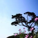 서해농장 이미지