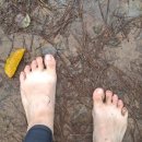 율하천공원 이미지