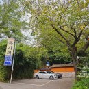 흑기와 | 부산 해운대 반송 오리백숙 오리주물럭 맛집 흑기와
