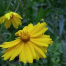 유곡면사무소 이미지