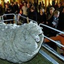 슈렉목장 이미지