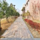 동아부동산공인중개사사무소 이미지