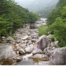 동해무릉계곡 이미지