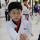 용인대타이곤 태권도 체육관 | JCCLUB 연합훈련, 함께 땀 흘리며 성장한 시간 루원시티 한빛태권도