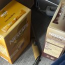 춘천풀빌라 캠핑플롬79 | 다시 돌아보니 눈부시게 빛나는 길