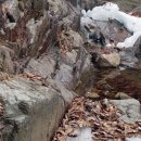 밤나무골 이미지