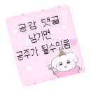 즐거운애견미용실 이미지