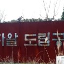 대정읍 영어교육도시내 곶자왈 이미지