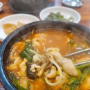 동민식당 | 서울미나리 화정 알곤이뚝배기 솔직 후기, 주차