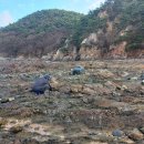 갯내음2 민박 이미지