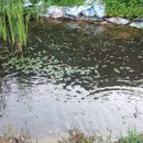 인동농장 이미지