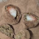 두바이 초콜릿 만들기(중고등) | 코스트코 두바이 초콜릿크림으로 두쫀쿠 만들기 후기 (+딸기 두쫀쿠)