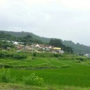 상리농장 이미지