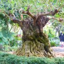 상동호수공원 이미지