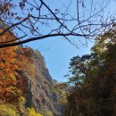 절골식당 이미지