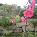 용방초교 이미지