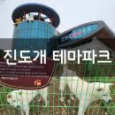 새천년 명견 진도개 사육장 | [진도개테마파크] 귀여운 진도강아지 보러 간 진도여행가볼만한곳 추천 - 백구/황구