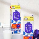 오늘의 단백질 이미지