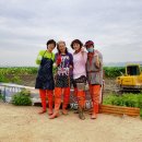 반야월연잎사랑 이미지