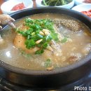 강원옻닭 이미지