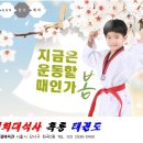 영재태권도체육관 이미지