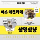 삼멍삼냥 이미지